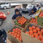 Distribución de Alimentos: